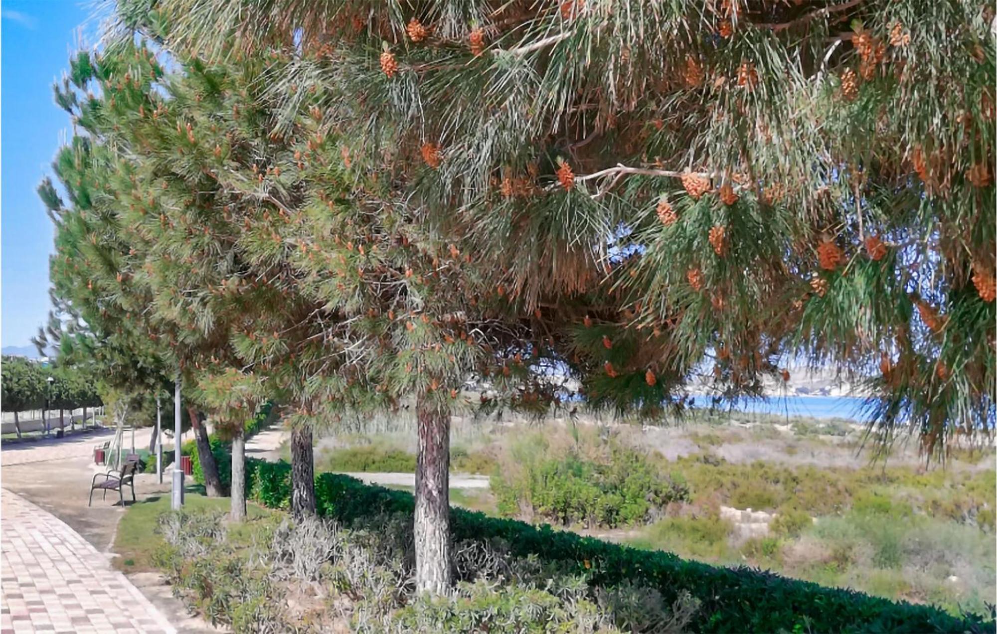 Amazing Apartment In San Juan De Los Terrer San Juan de los Terreros Εξωτερικό φωτογραφία